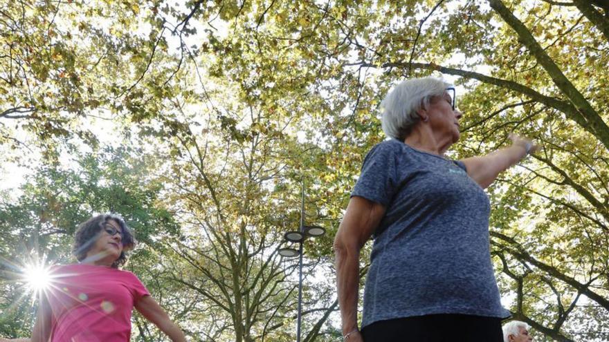 Personas mayores en Aviléspracticando ejercicio en el parque del Muelle. | MIKI LÓPEZ