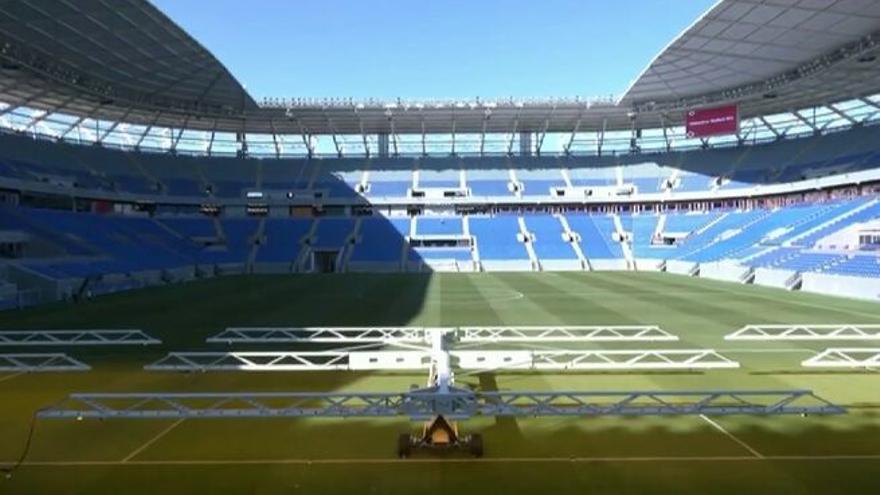 Agua desalinizada y estadios refrigerados: el desafío del mantener césped para el Mundial de Fútbol en Catar.