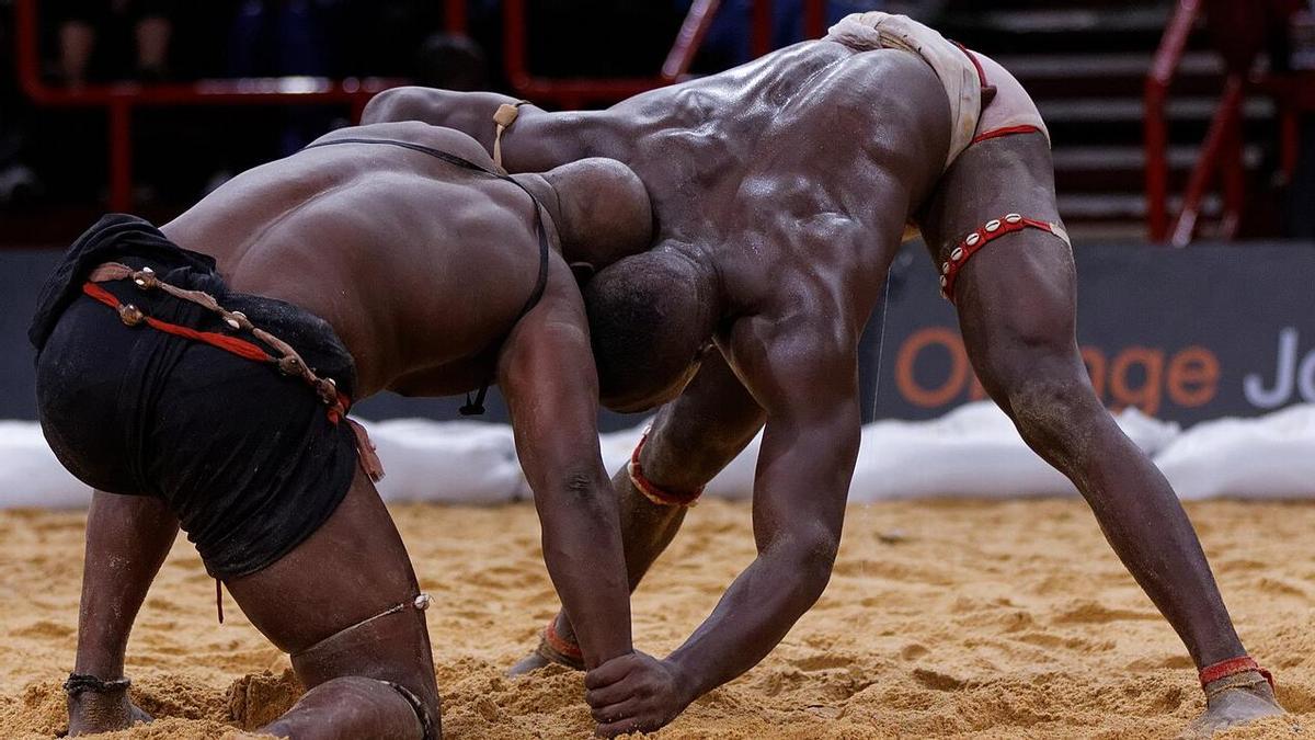 Combat de lluita tradicional senegalesa