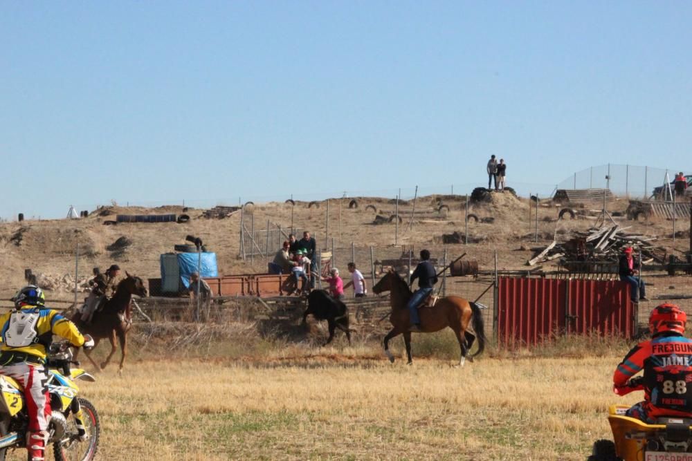 Encierro en Cañizal.