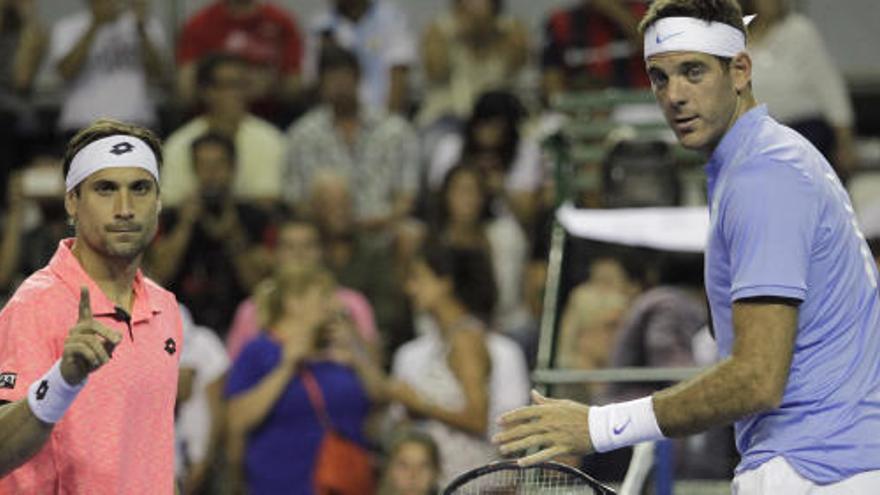 David Ferrer y Juan Martín del Potro