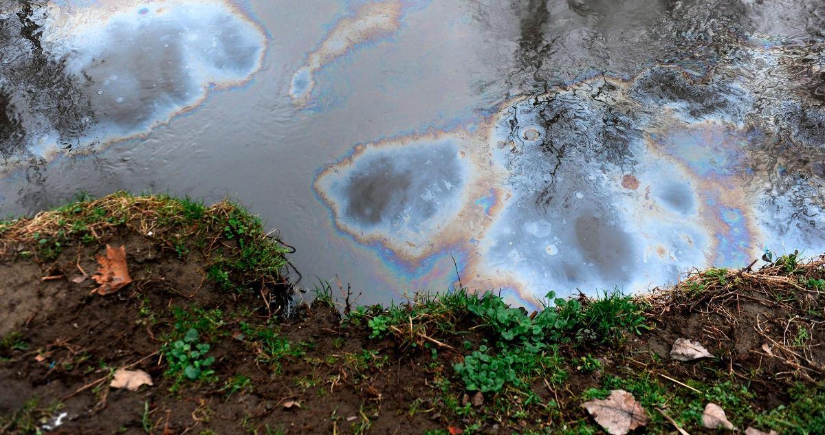 Río contaminado por vertidos de fósforo.