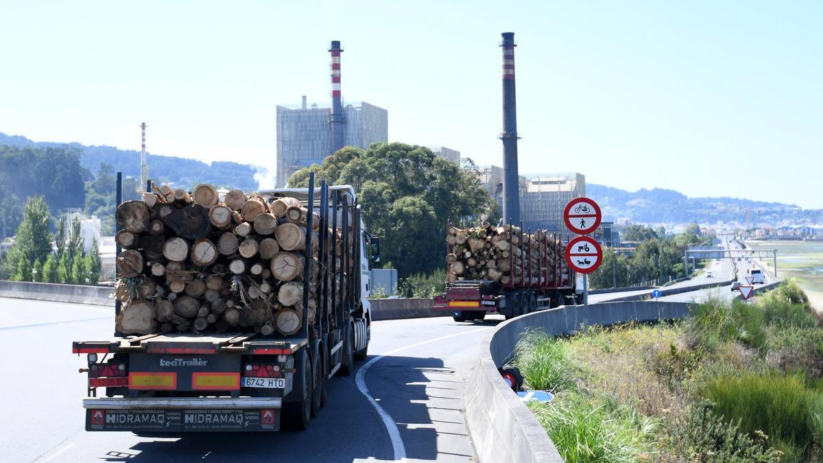 Camiones de madera, camino de la fábrica de Ence
