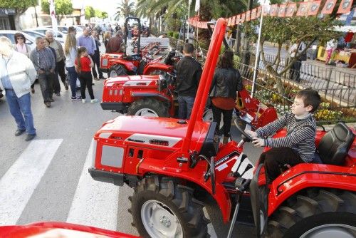 Fiestas del Santa Eulària