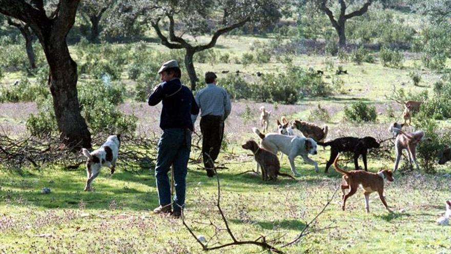 Piden que monterías y rehalas sean declaradas en Extremadura bien de interés cultural