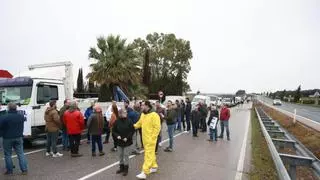 Directo protesta agricultores | El acceso a Cáceres desde el V Centenario se complica