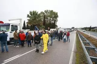 Fotogalería | Imágenes de la tractorada en Cáceres, este miércoles