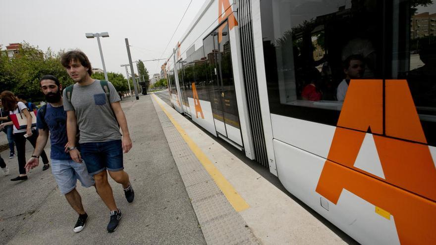 Más de 6.500 personas se presentan a la bolsa de empleo del tranvía en Alicante