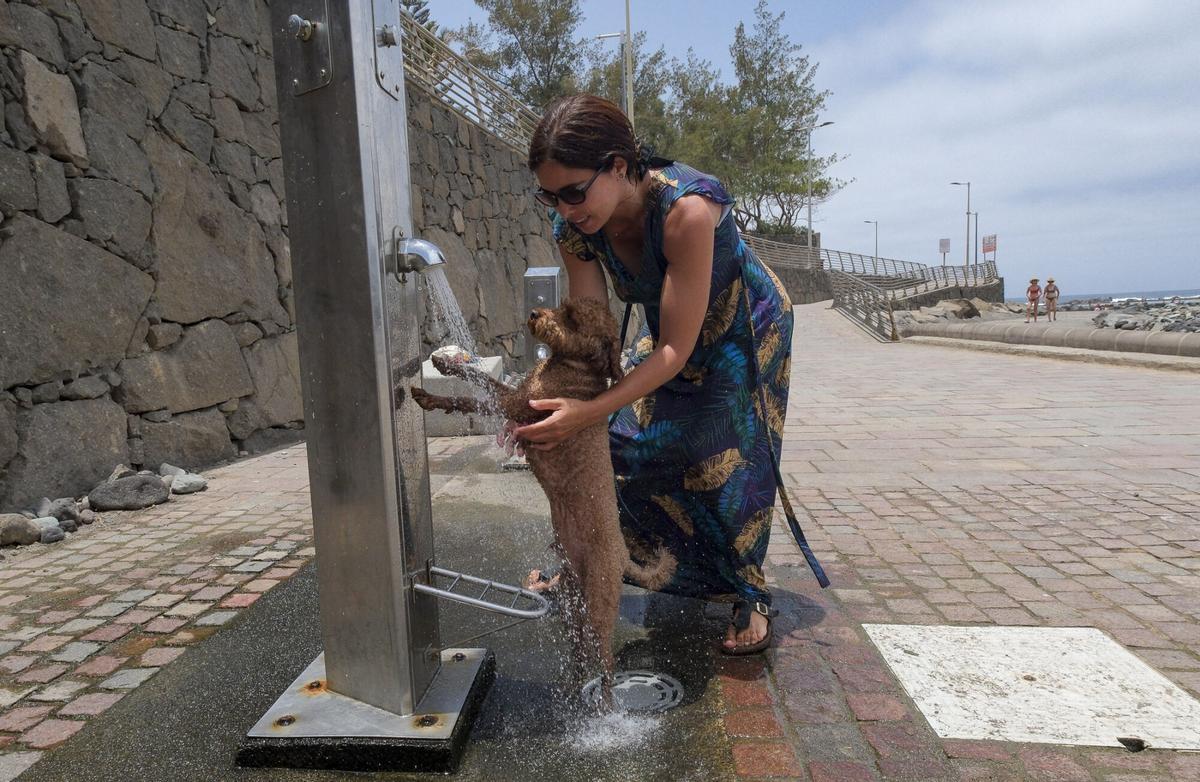 Calor en Gran Canaria: Bañaderos (Arucas, 6/7/2026)