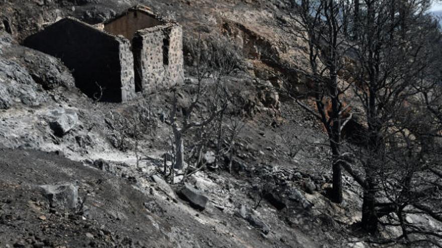 Paisaje desolador en Valleseco que ha dejado el incendio de Gran Canaria.