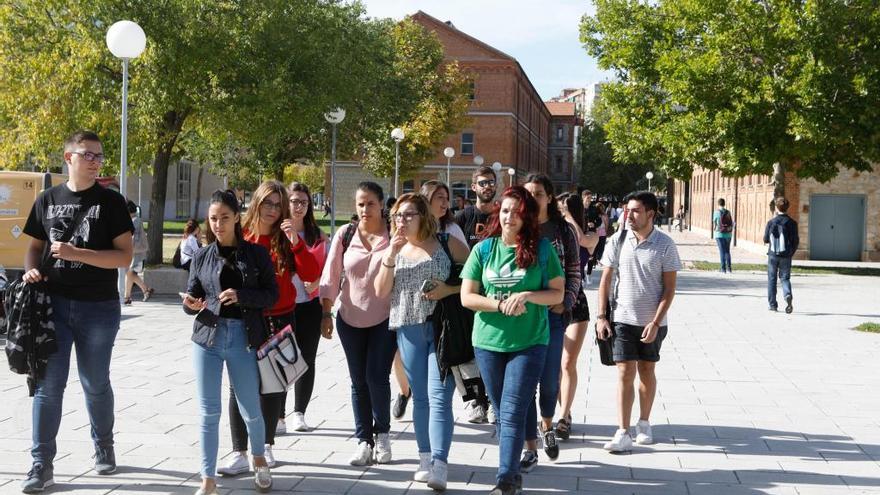 Universitarios en el Campus Viriato.