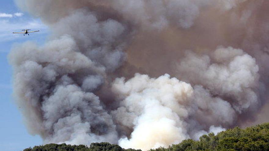 Els bombers apaguen uns 4.600 incendis vegetals, un 8% més que l&#039;any passat