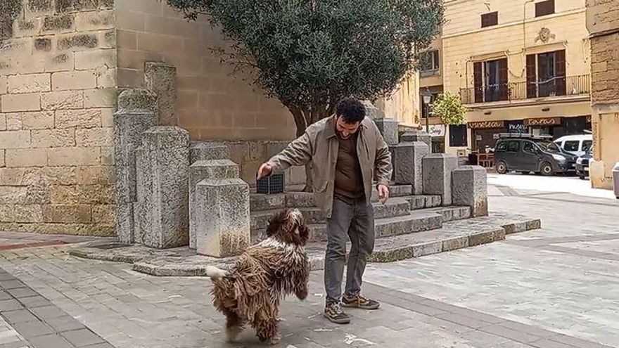 Ein Mann spielt mit seinem Hund in Manacor.