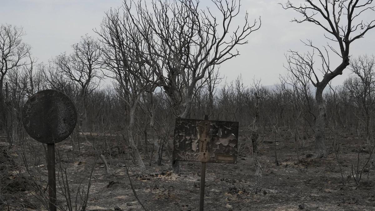 Imagen del municipio de Cubo de Benavente afectada por los incendios de 2025.