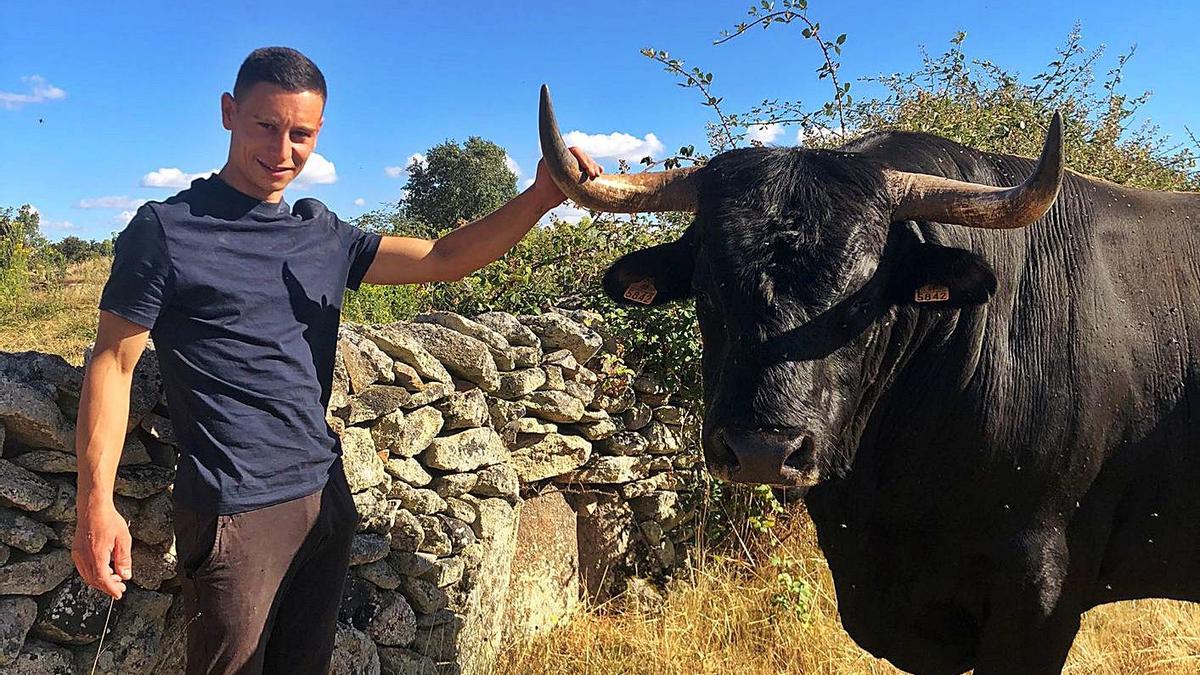 Víctor Pérez junto a “Rebujito” un toro de su ganadería. | Cedida