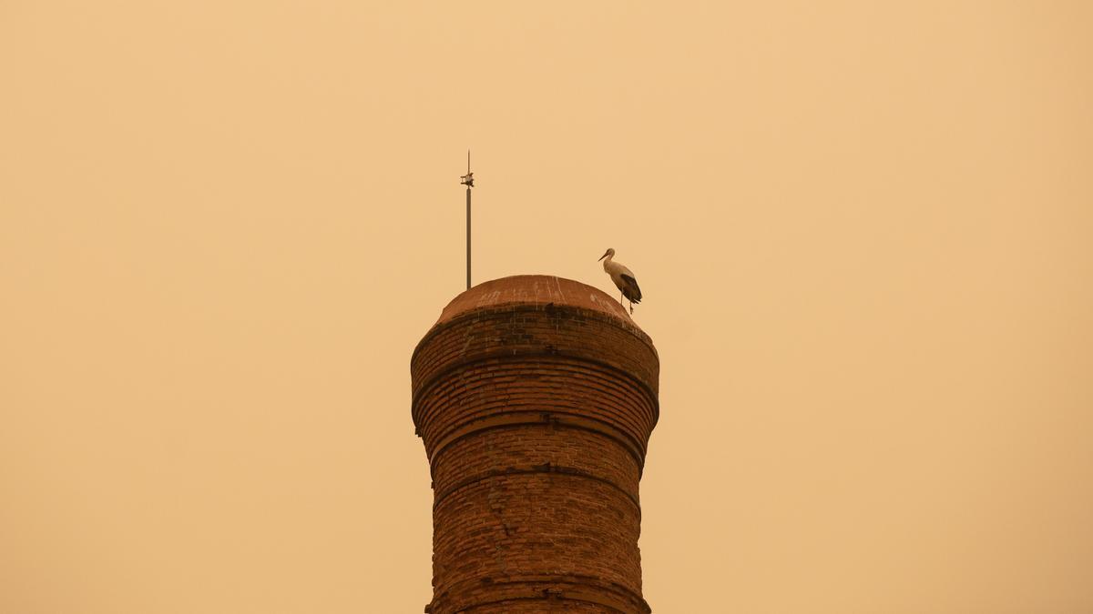 Una cigüeña hace frente al temporal de polvo sahariano en una fotografía de archivo.