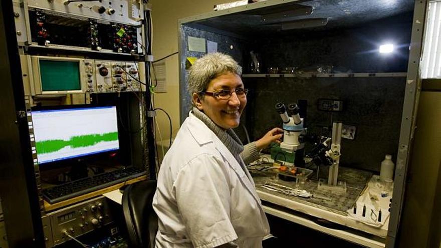 La investigadora Juana Gallar, en su laboratorio del Instituto de Neurociencias, ubicado en el campus de Sant Joan de la Universidad Miguel Hernández