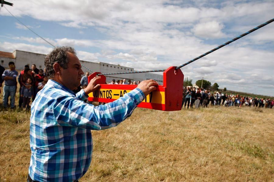 Los quintos de Monfarracinos persiguen las cintas