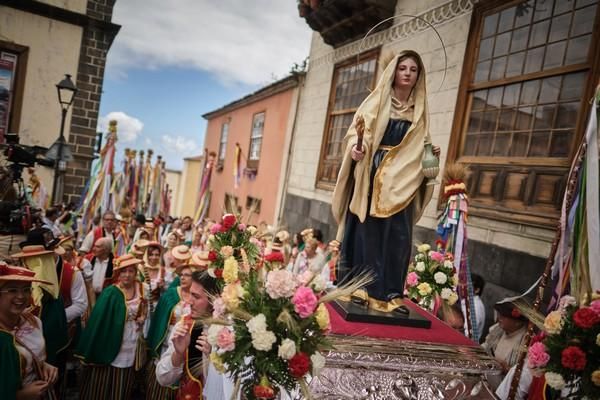 Romería de La Orotava 2019