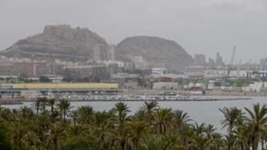 Vista del parque del Palmeral de Alicante.