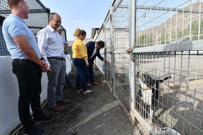 05/02/2020 CARBONERAS. SANTA LUCIA DE TIRAJANA. Inauguración del CETA, Centro de Estancia Temporal de Animales .   Fotógrafa: YAIZA SOCORRO.  | 05/02/2020 | Fotógrafo: Yaiza Socorro