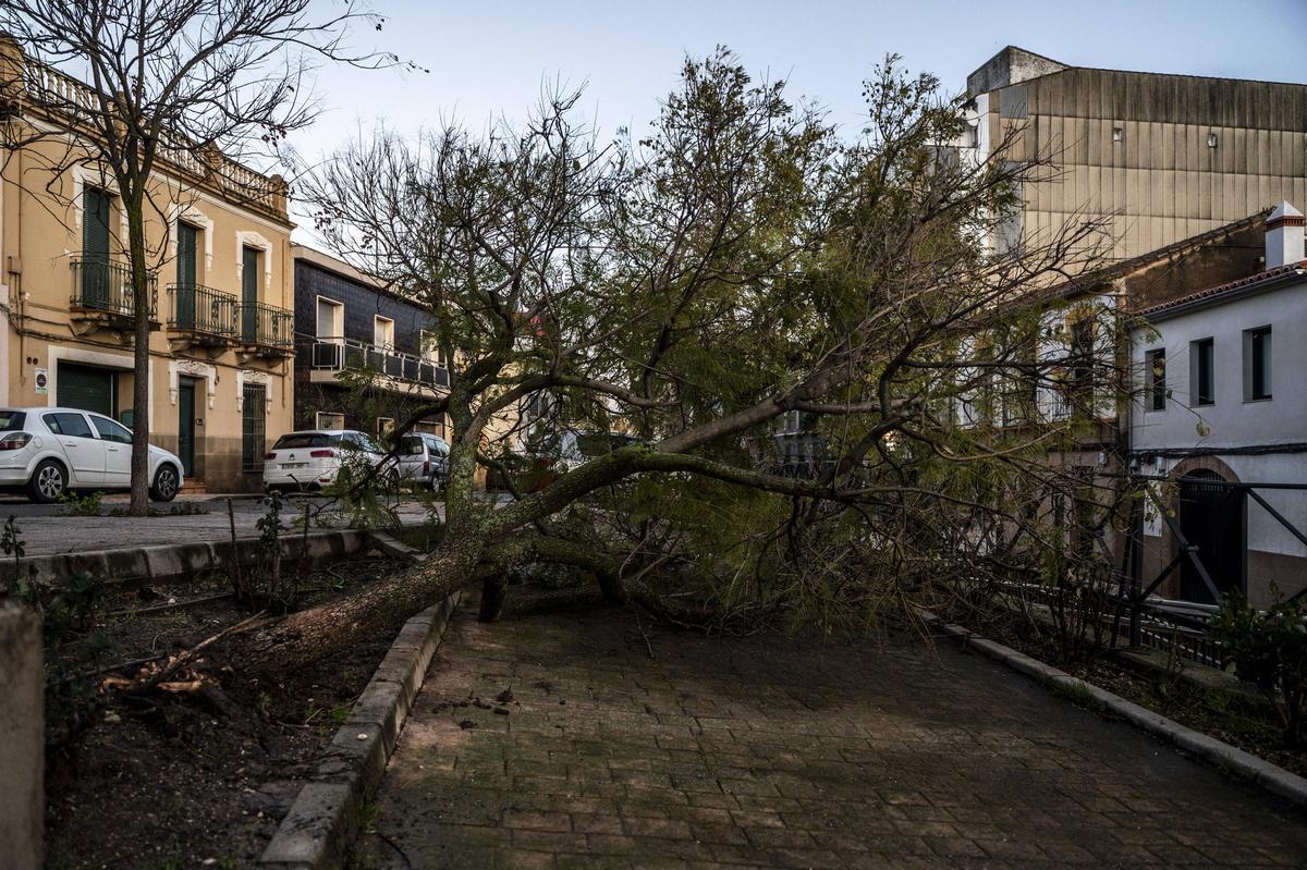 Fotogalería | El temporal en Cáceres, más imágenes