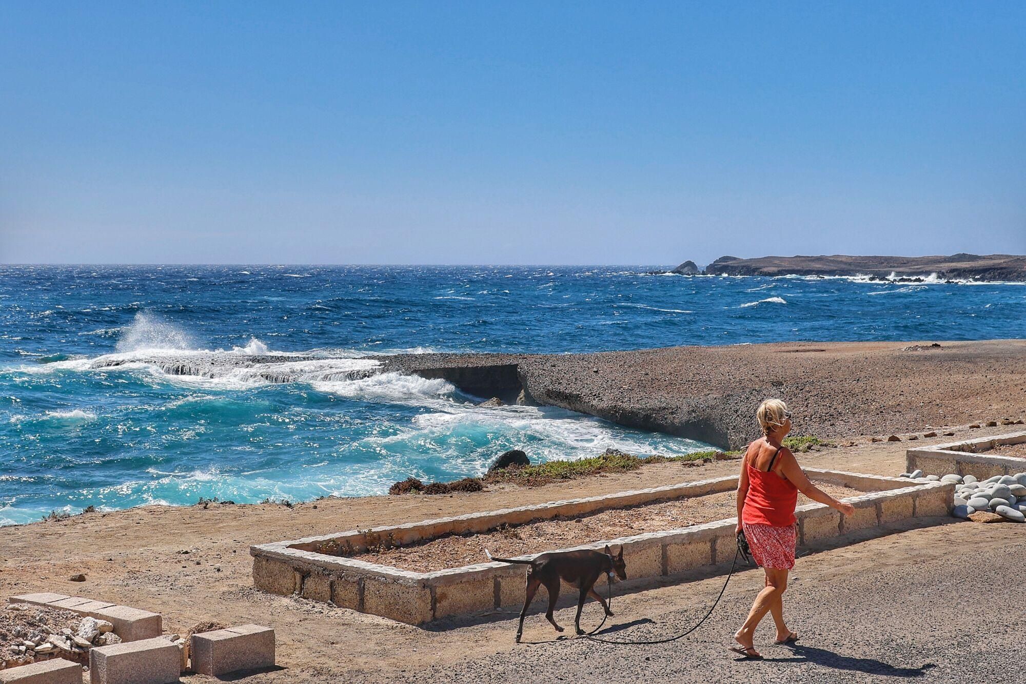 Jornada de viento en Tenerife