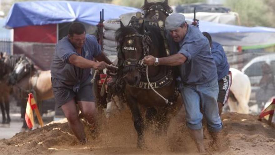 Un trofeo atrapado en el tiempo