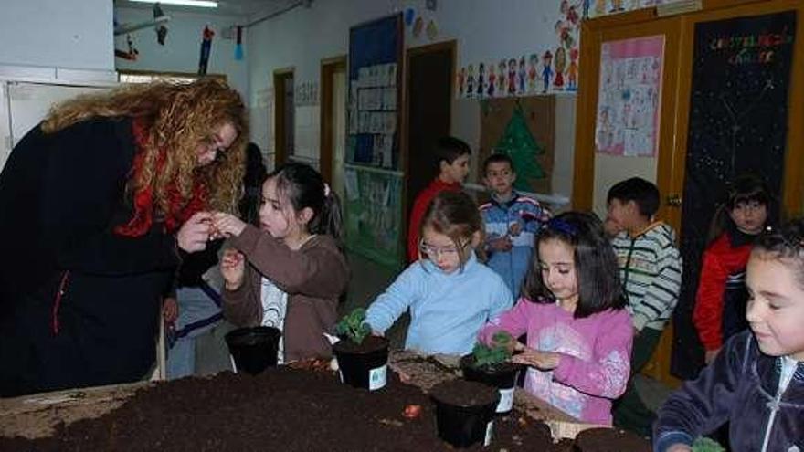 Escolares en plena tarea, en uno de los colegios. // C. T. / E. G.