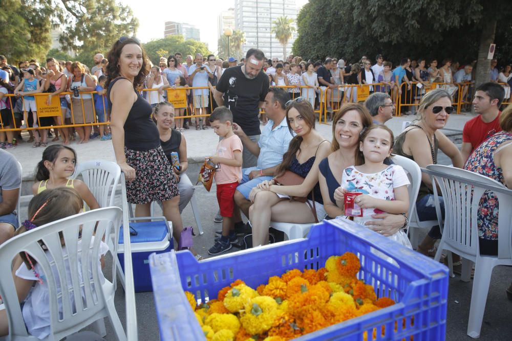 Búscate en los palcos de la Batalla de Flores 2017