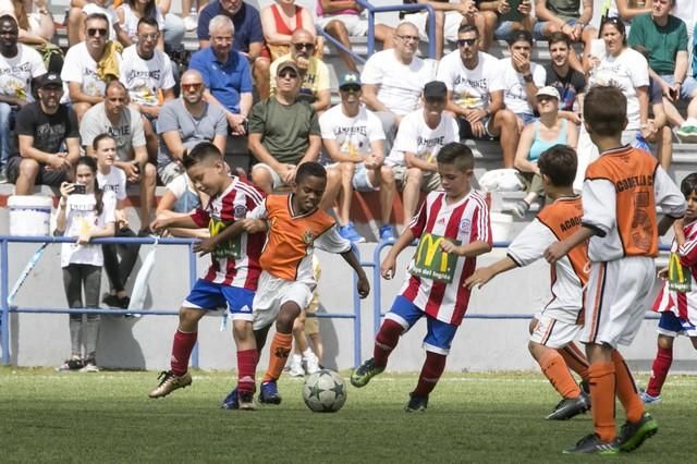 Copa de Campeones Prebenjamines