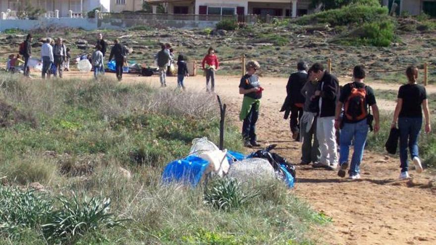 Más de medio centenar de personas limpian las dunas de Son Serra de Marina y el torrente de Binicaubell