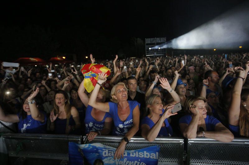 Feria de Julio: Concierto de David Bisbal en València