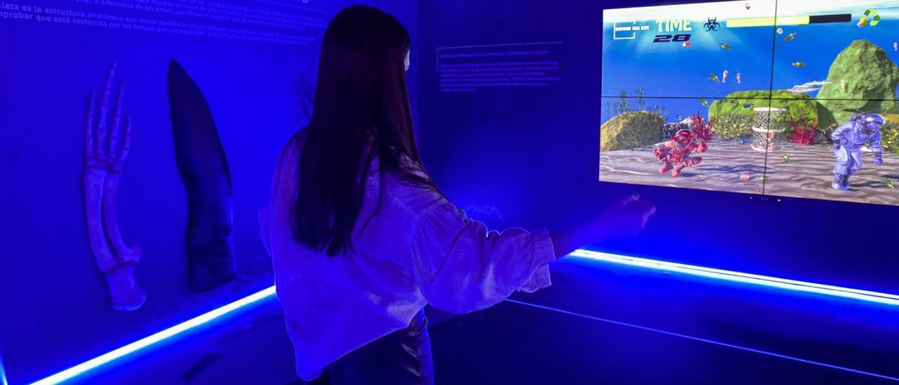 La nueva sala inmersiva del Museo Elder bucea por los fondos marinos | ANDRÉS CRUZ