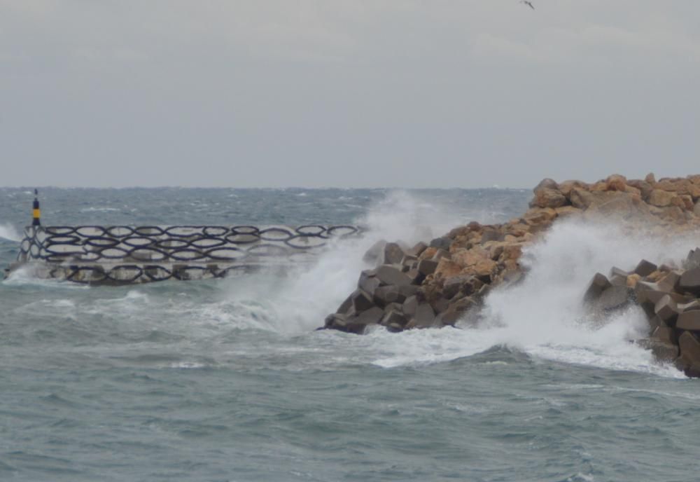 Temporal de llevant a la costa de l''Alt Empordà