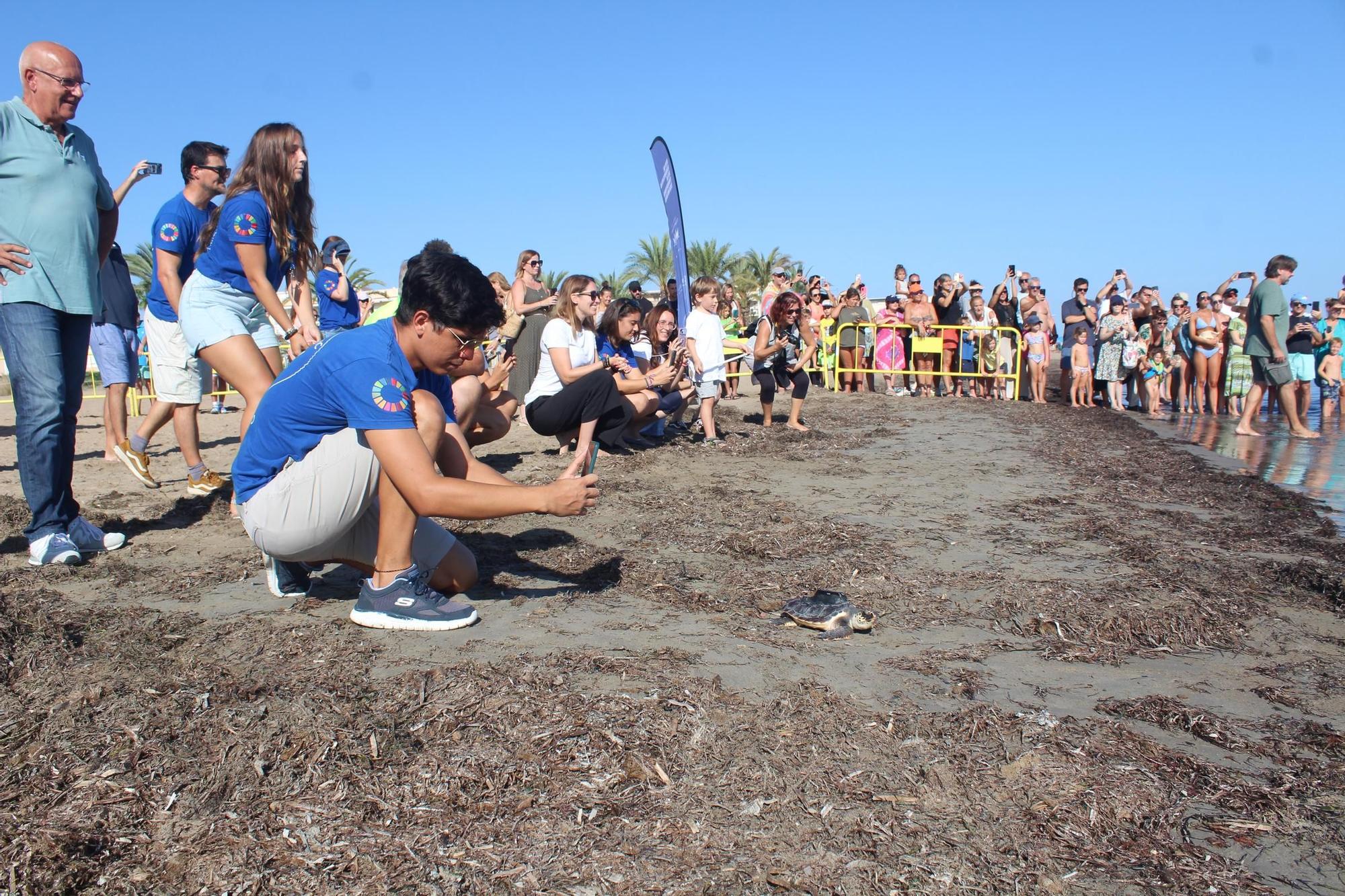 Una gran fiesta que conciencia: las tortugas vuelven al mar en Dénia