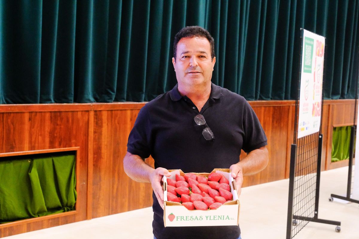 Francisco Miguel Santana junto a sus fresas