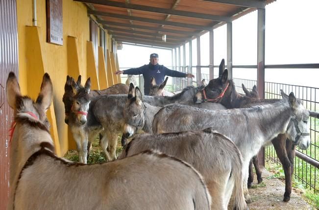 CENTRO RECUPERACION DEL BURRO