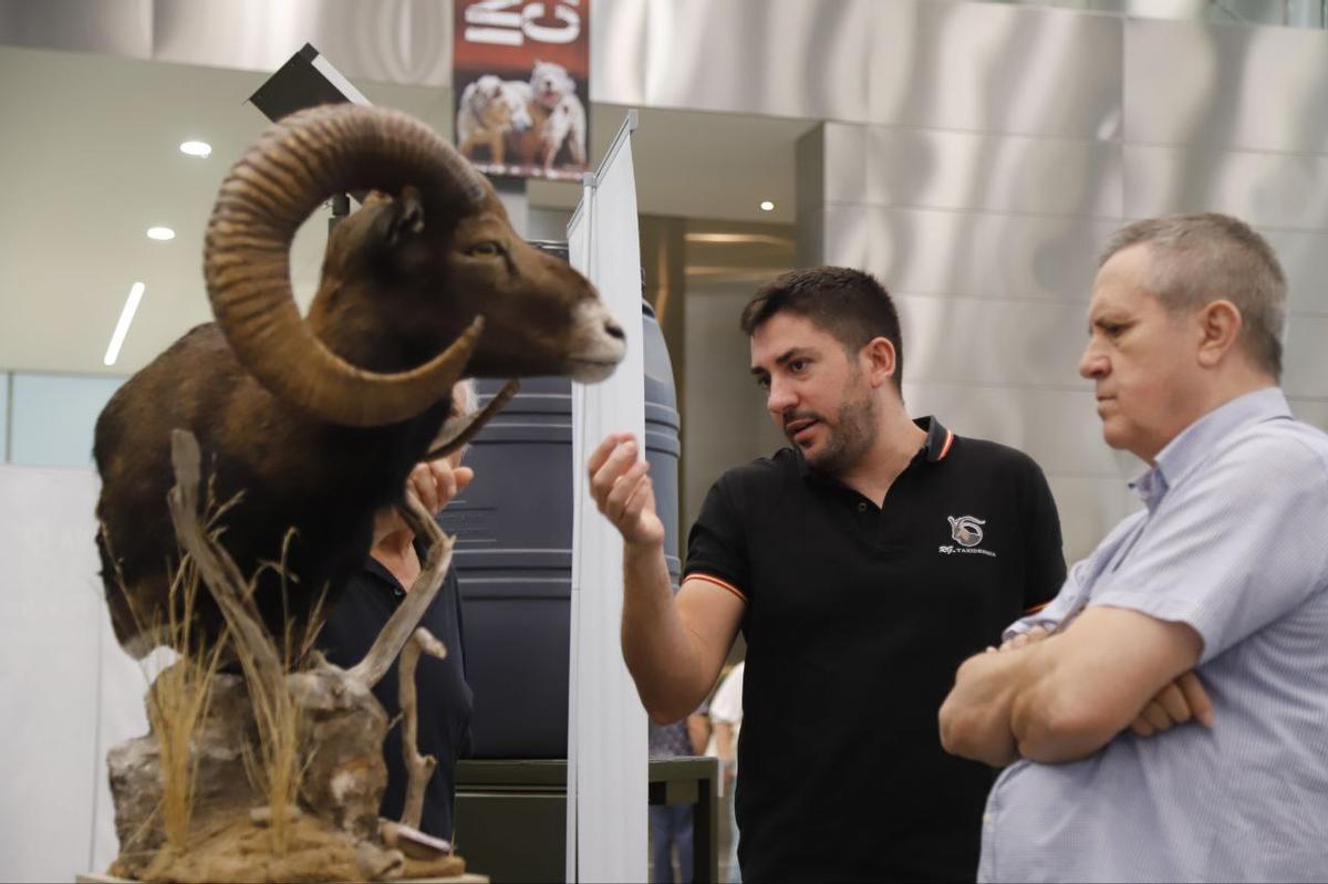 La feria Intercaza 2025, en imágenes