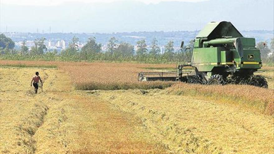 Aragón pierde una media de 2.000 explotaciones agrarias cada año