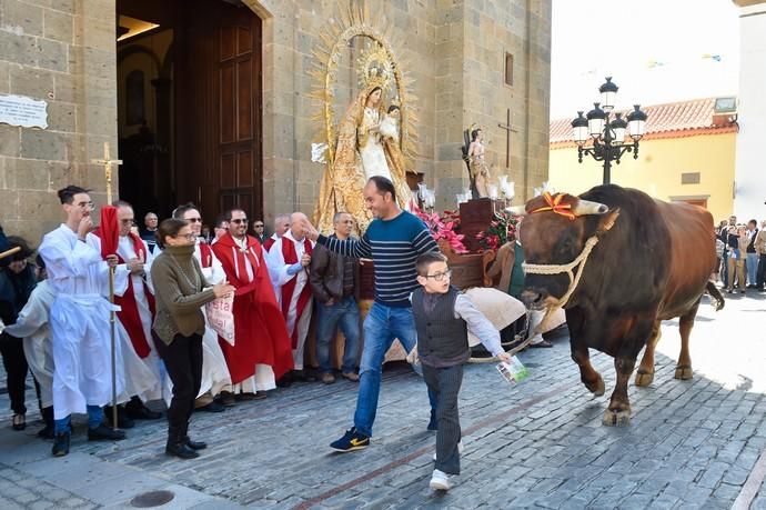 Fiesta de San Sebastián. Feria de ganado y ...