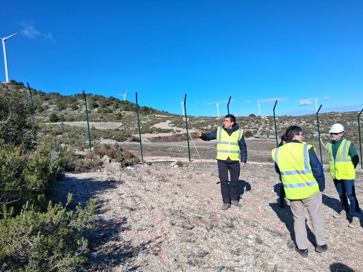 Finca a la que llegarán los dos linces que vivirán en el entorno de Zaragoza.