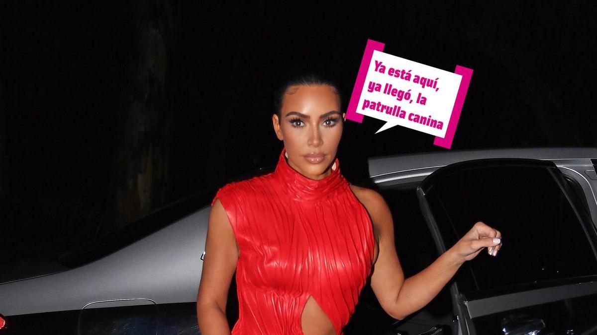 Espera porque esto no te lo esperabas: Kim Kardashian ficha por 'La patrulla canina'
