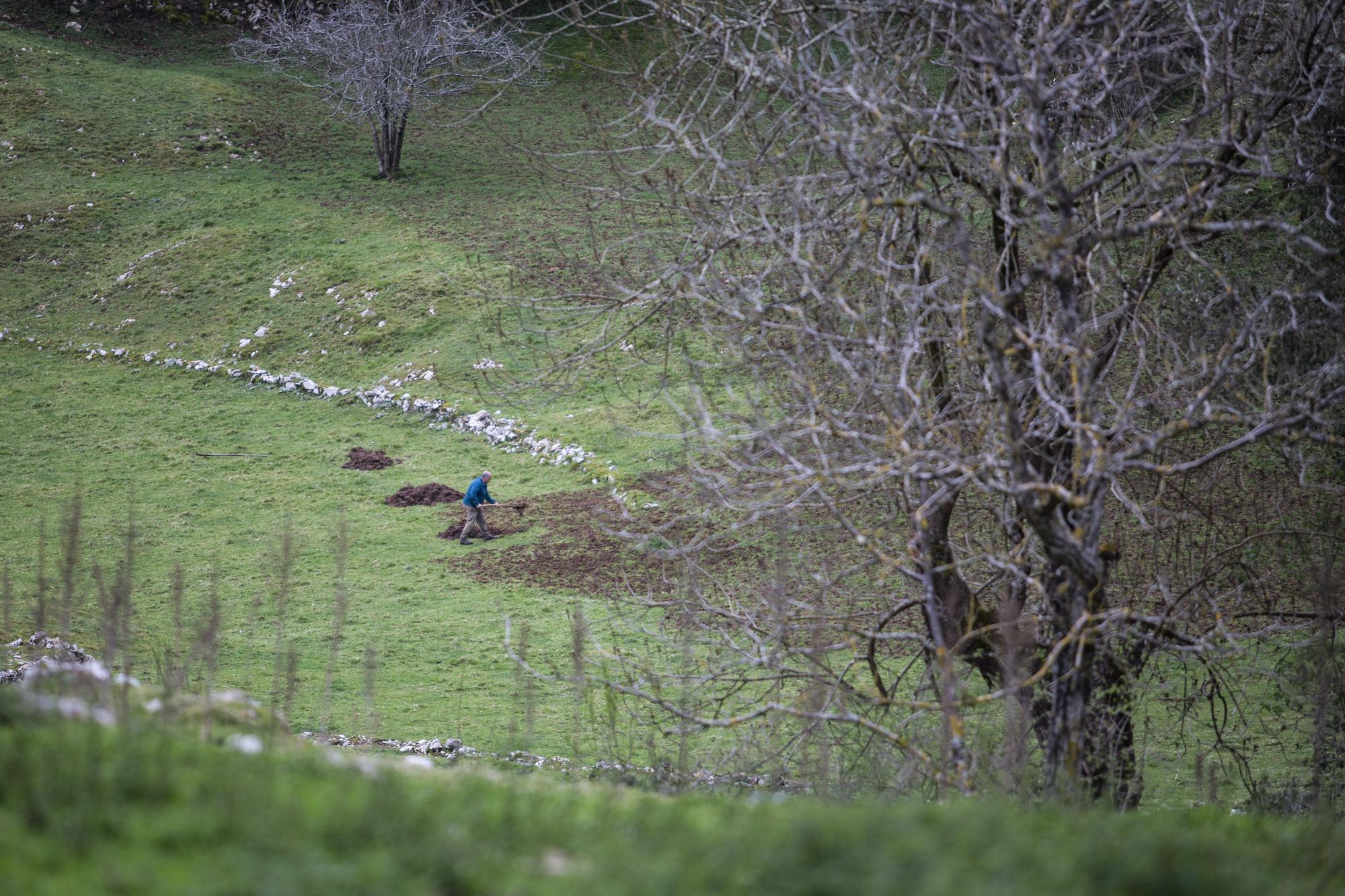 Asturianos en Peñamellera Alta: un recorrido por el municipio