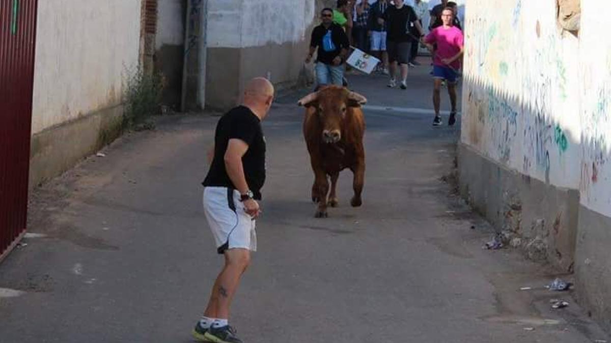 Aficionados disfrutan de un festejo taurino en las fiestas de San Roque de Morales