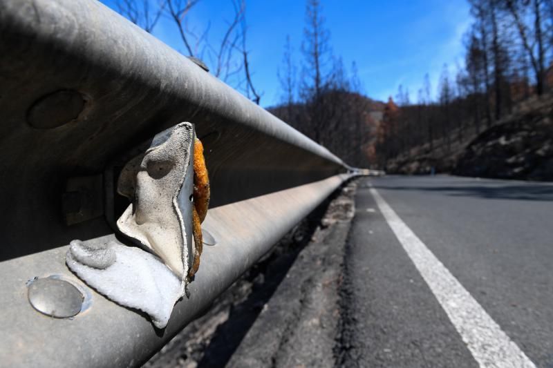 Reportaje sobre las zonas quemadas tras dos meses