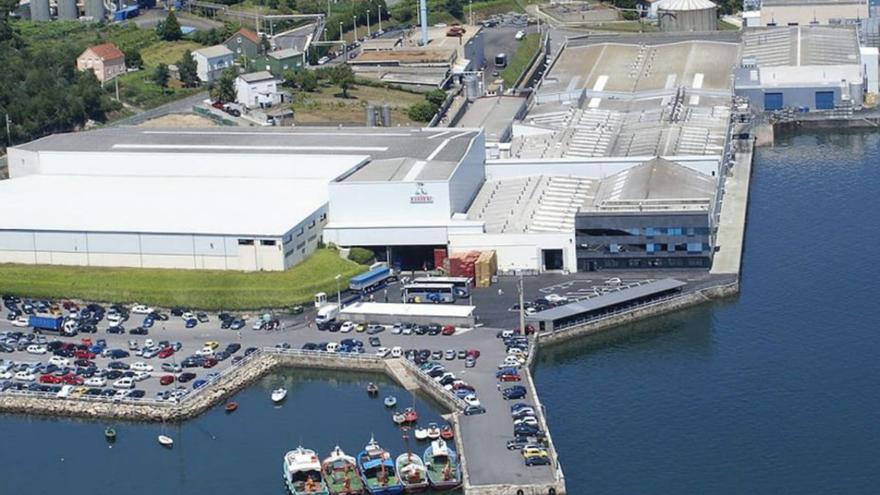 Jealsa ampliará sus instalaciones en O Bodión con una nave de 8.884 metros cuadrados