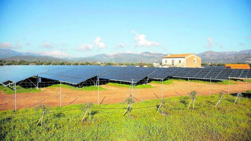 Cultivos de más valor agrícola a cambio de parques solares en suelo rústico