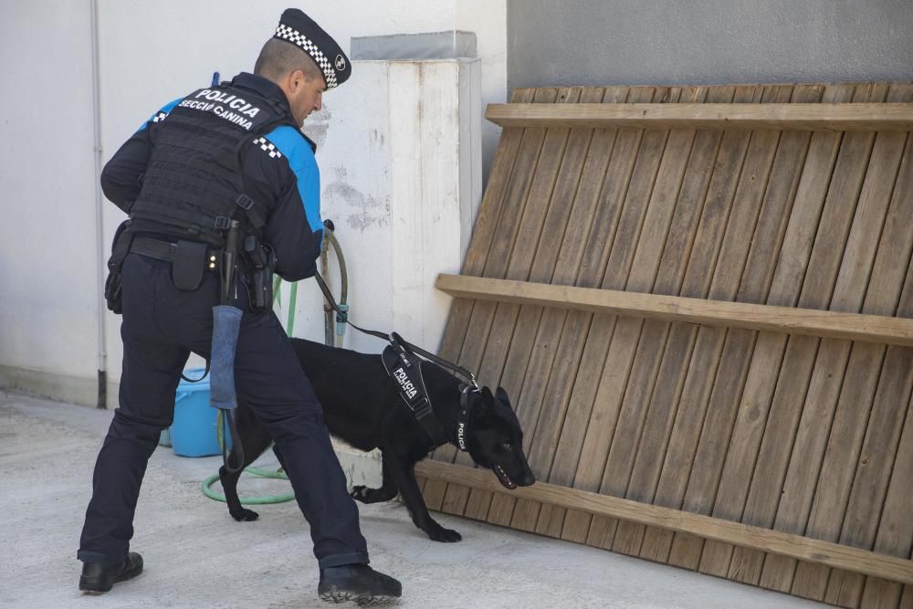 La Unitat Canina de la Policia Local de Lloret de Mar, en acció