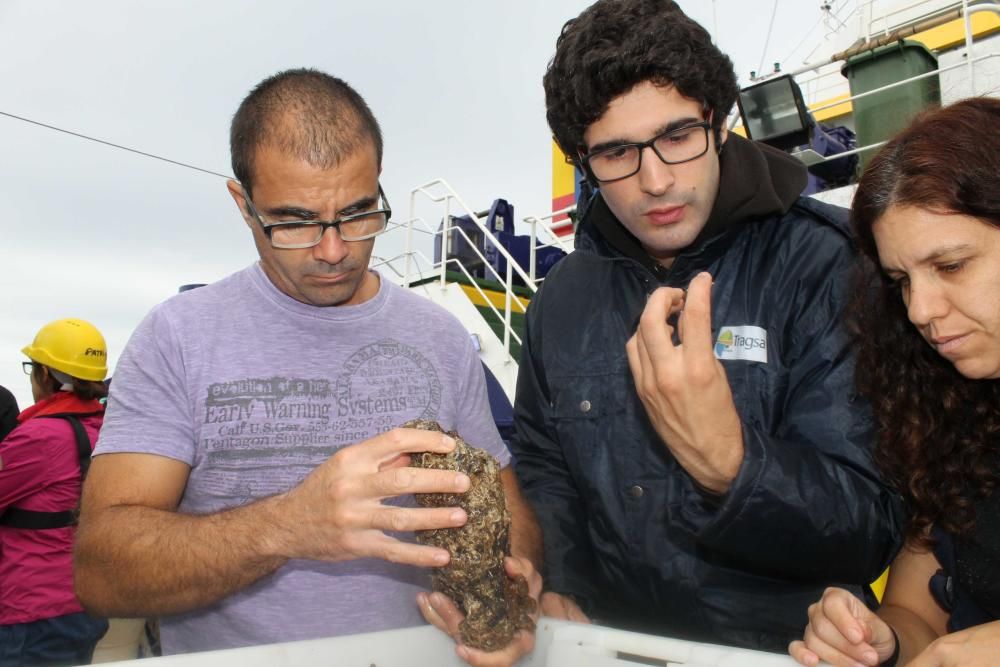 Doce científicos estudian los montes submarinos de Ibiza y Formentera